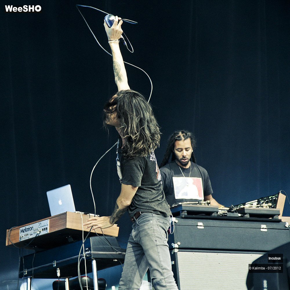 22/28 photos du spectacle Incubus