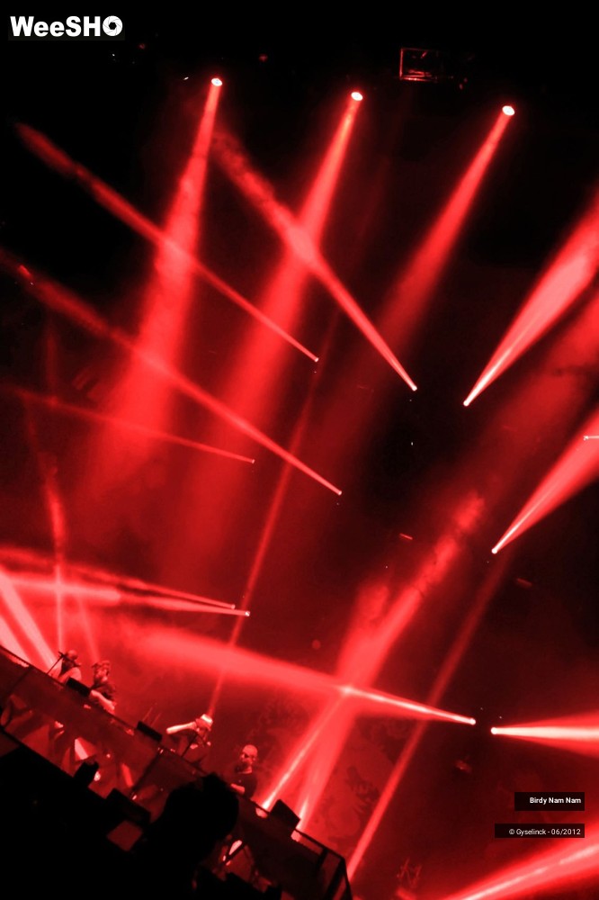 3/24 photos du spectacle Birdy Nam Nam