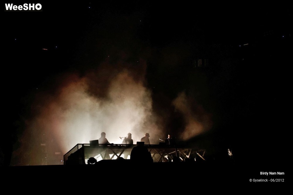 6/24 photos du spectacle Birdy Nam Nam