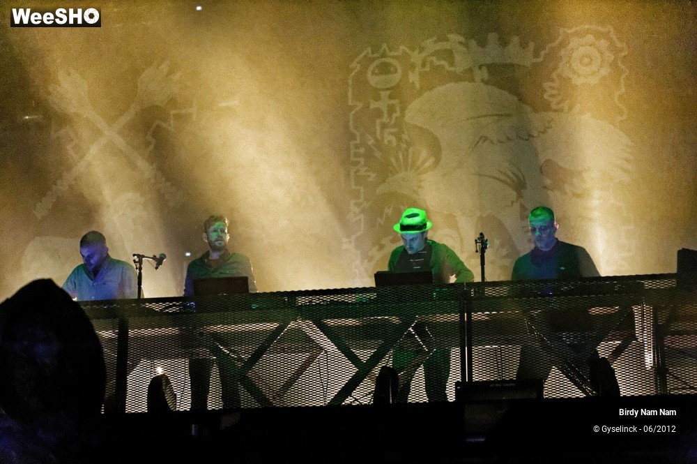 14/24 photos du spectacle Birdy Nam Nam