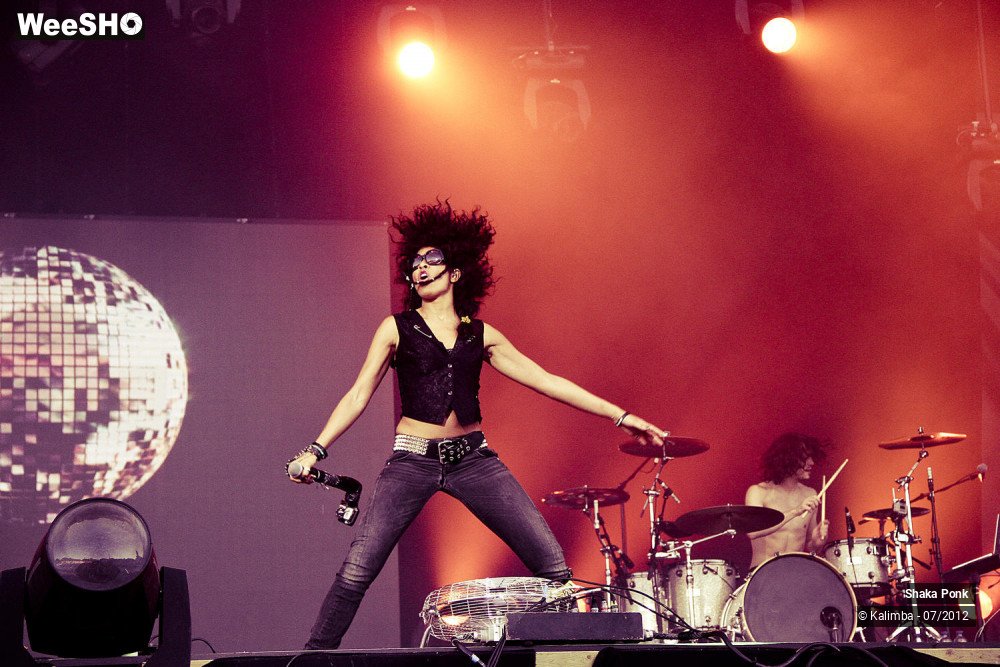 23/35 photos du spectacle Shaka Ponk
