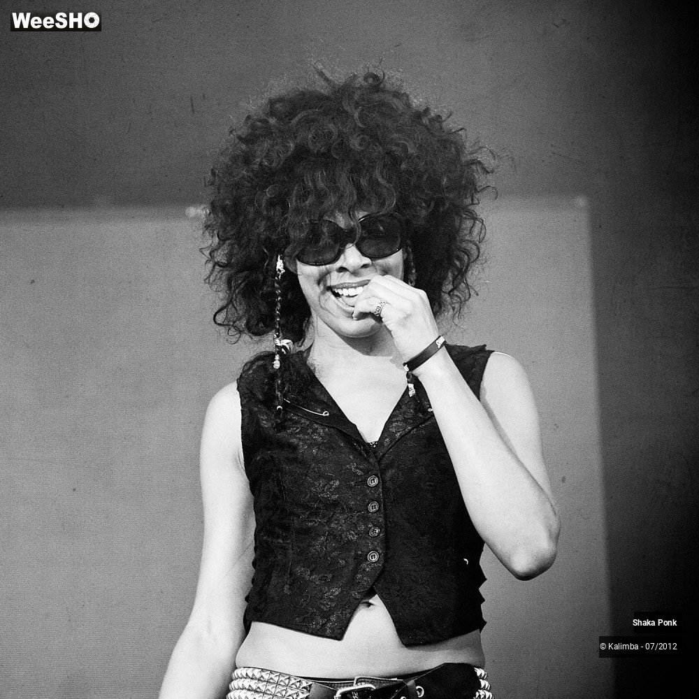 25/35 photos du spectacle Shaka Ponk