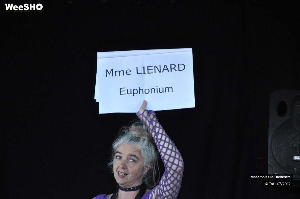 9/50 photos du spectacle Melle Orchestra