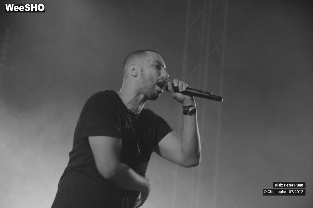 2/10 photos du spectacle Disiz