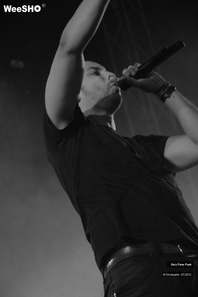 5/10 photos du spectacle Disiz