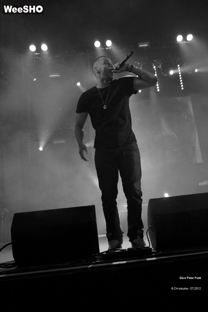 7/10 photos du spectacle Disiz