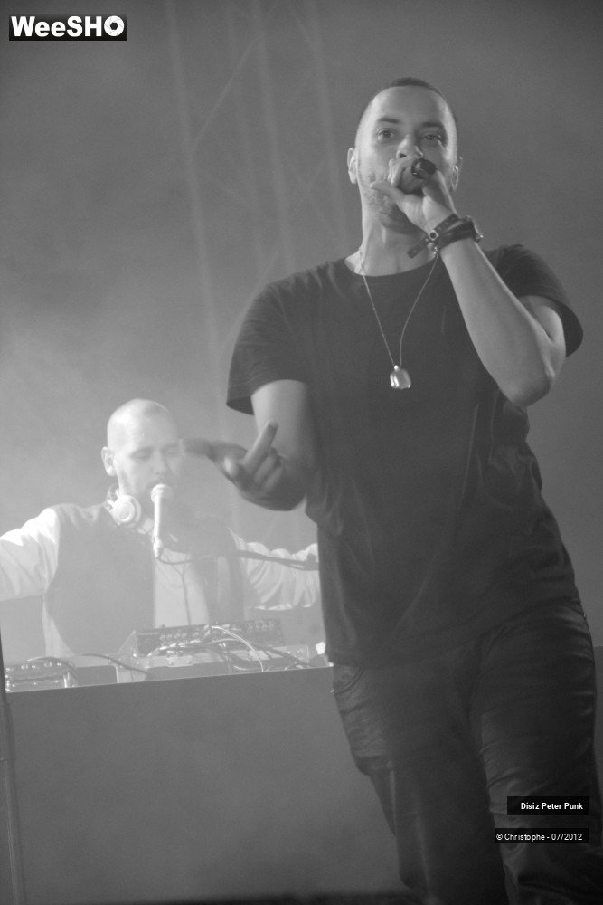8/10 photos du spectacle Disiz