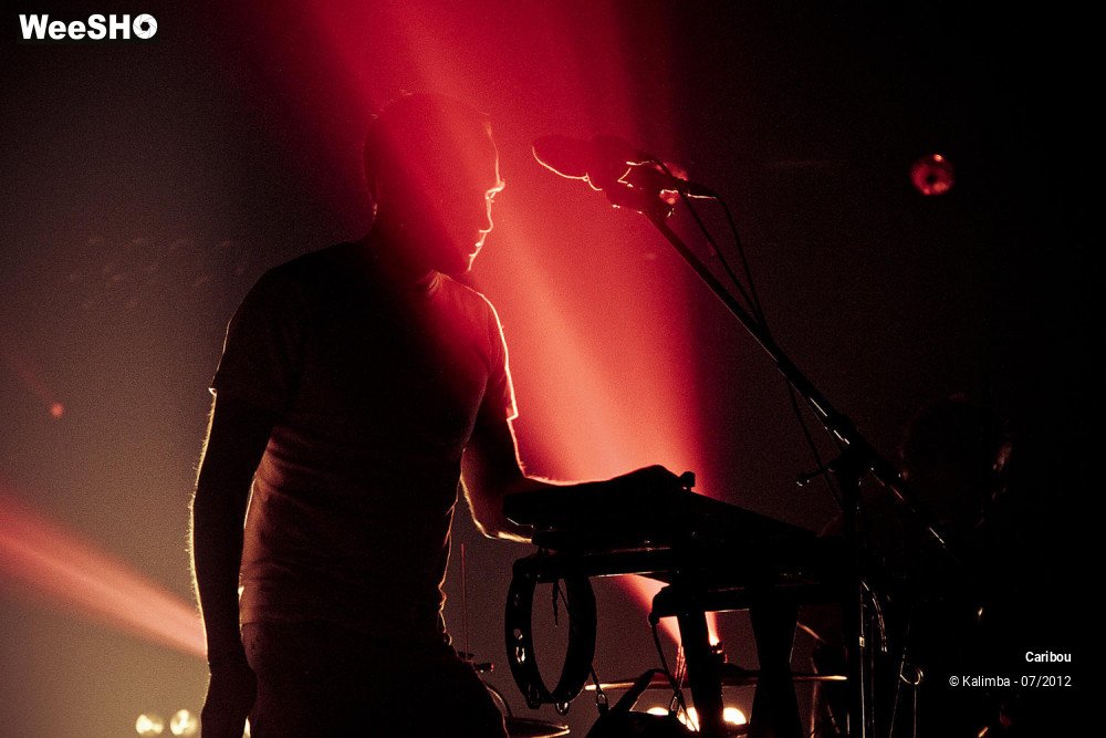 5/8 photos du spectacle Caribou