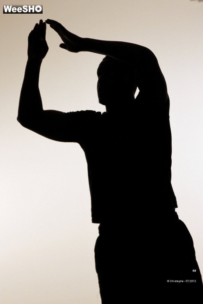 40/50 photos du spectacle Roots & Routes Summerschool 2