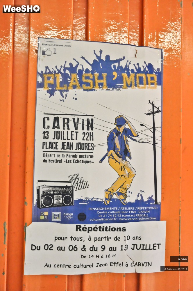 30/30 photos du spectacle Entraînement Flash' Mob