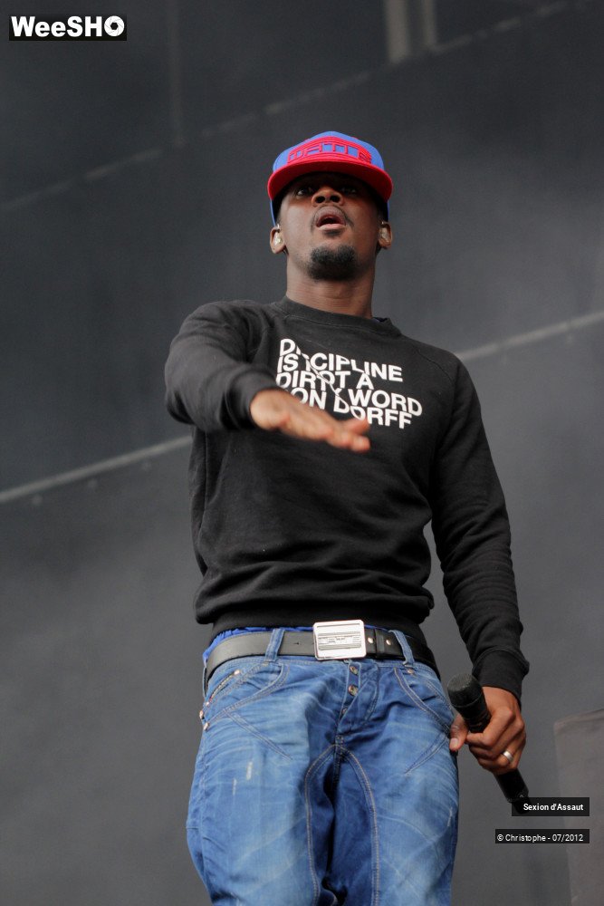 25/36 photos du spectacle Sexion d'Assaut