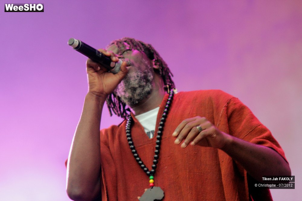 2/42 photos du spectacle Tiken Jah Fakoly