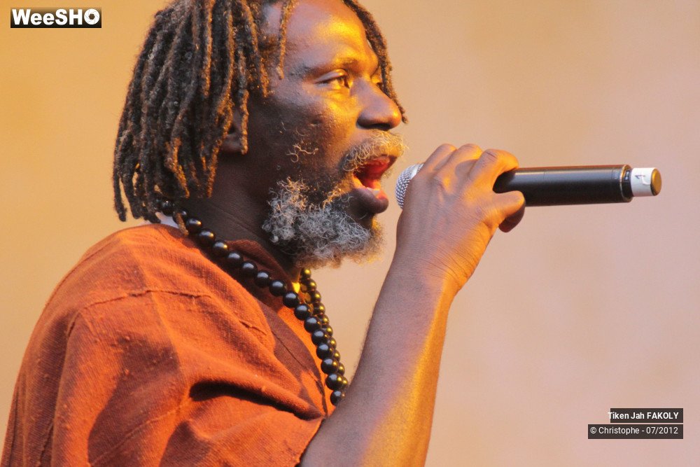 3/42 photos du spectacle Tiken Jah Fakoly