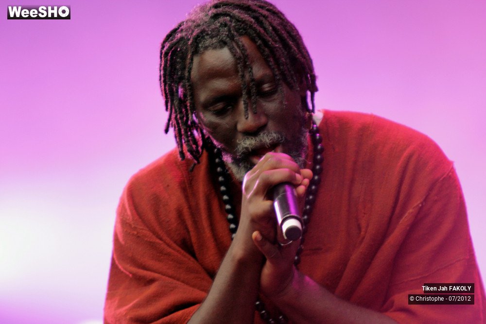5/42 photos du spectacle Tiken Jah Fakoly