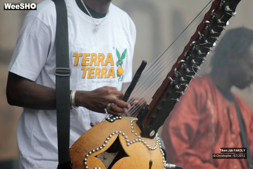 7/42 photos du spectacle Tiken Jah Fakoly