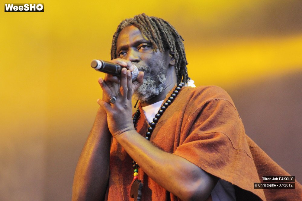 9/42 photos du spectacle Tiken Jah Fakoly
