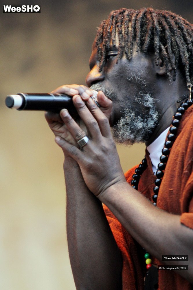 12/42 photos du spectacle Tiken Jah Fakoly