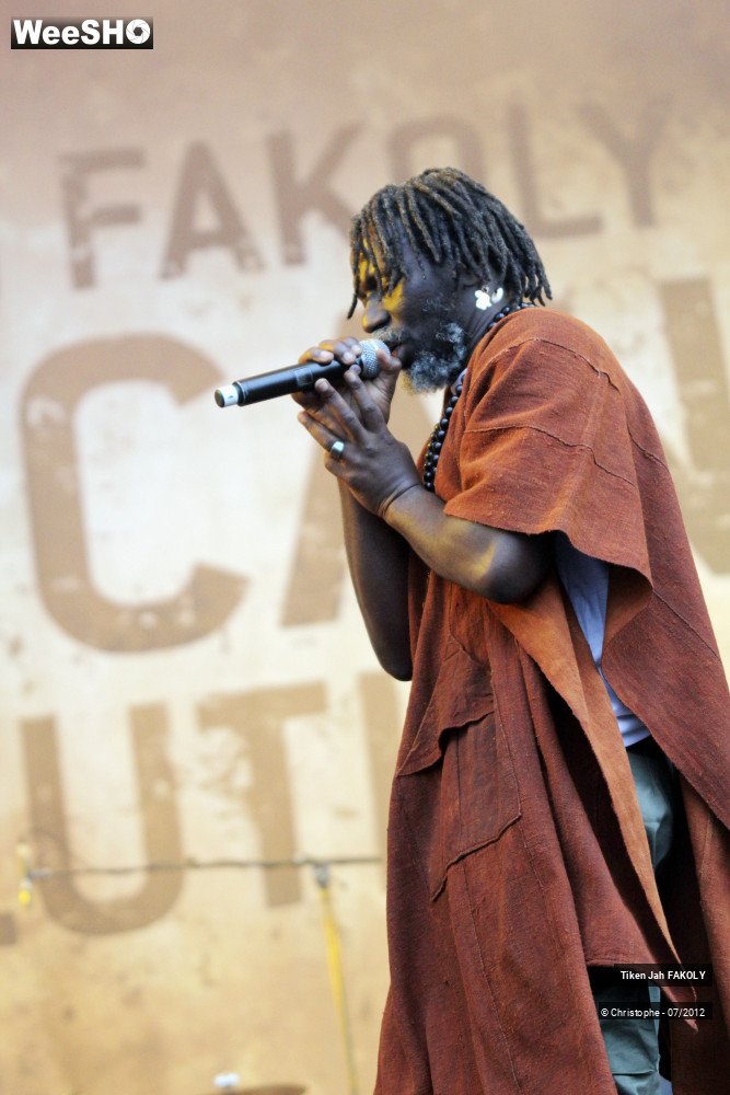 13/42 photos du spectacle Tiken Jah Fakoly