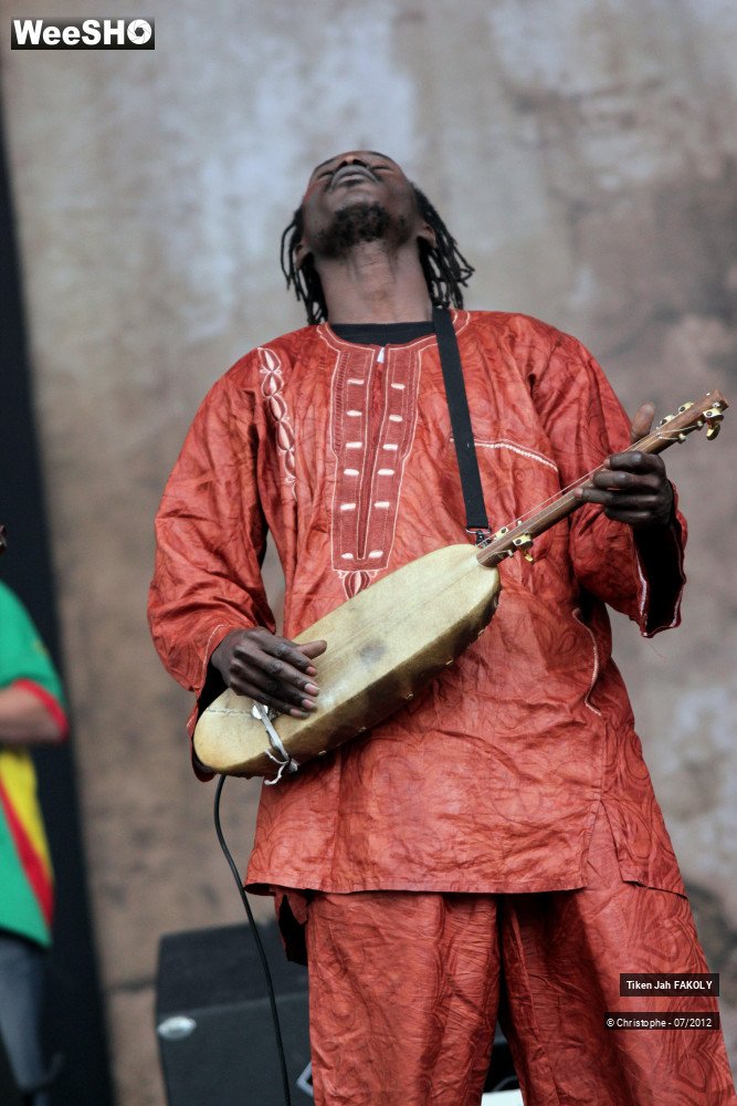 15/42 photos du spectacle Tiken Jah Fakoly