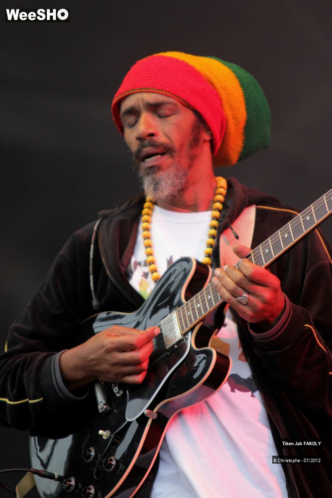 16/42 photos du spectacle Tiken Jah Fakoly