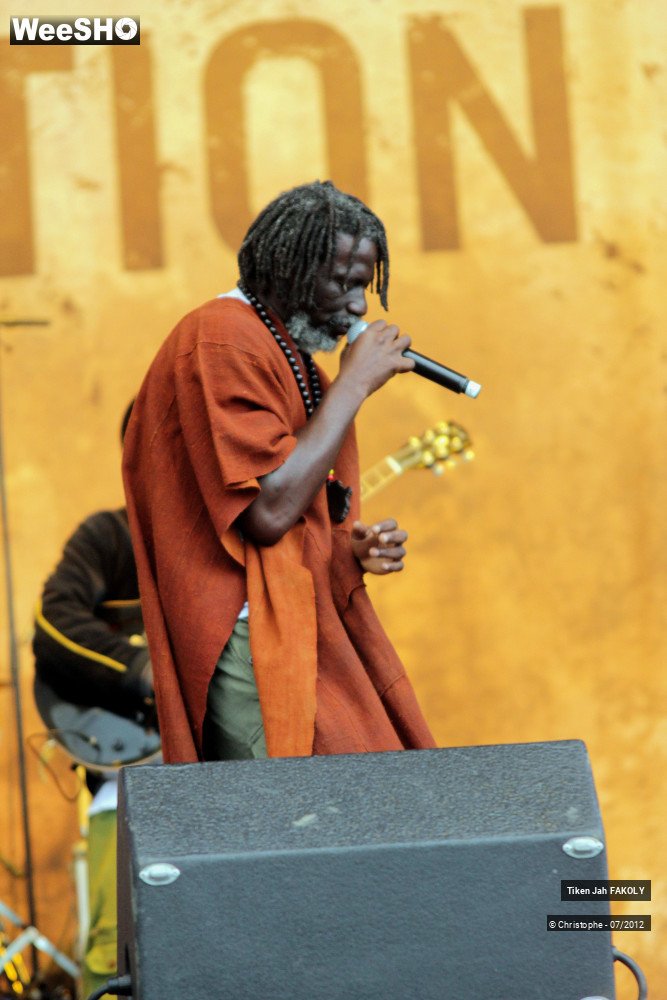 17/42 photos du spectacle Tiken Jah Fakoly