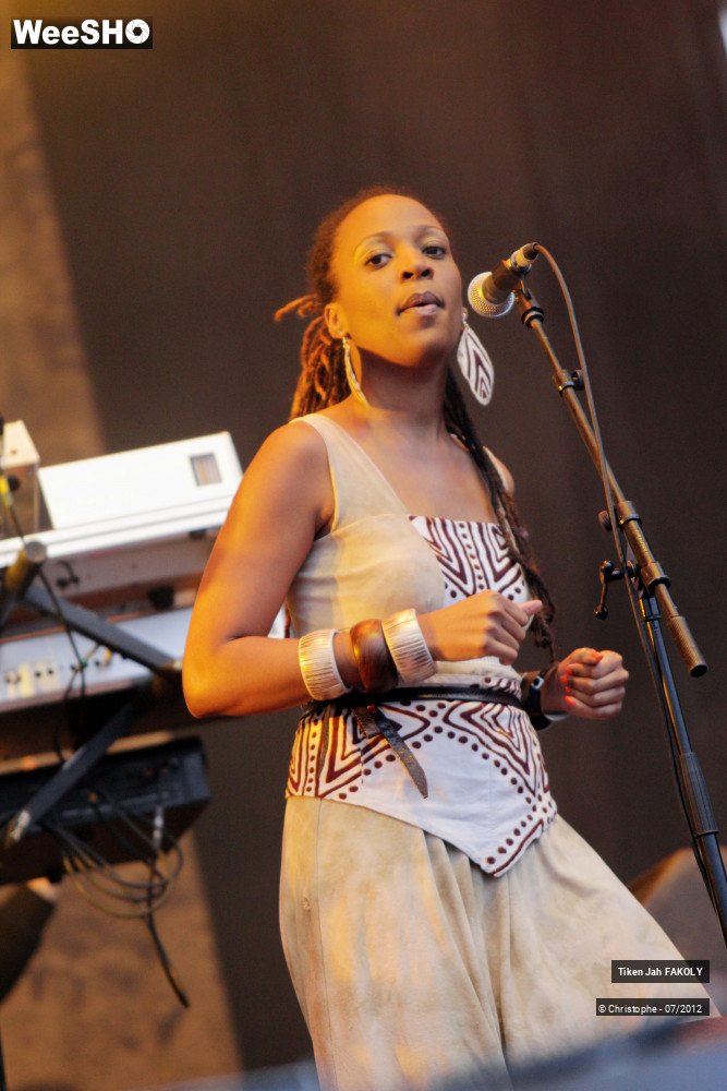 19/42 photos du spectacle Tiken Jah Fakoly