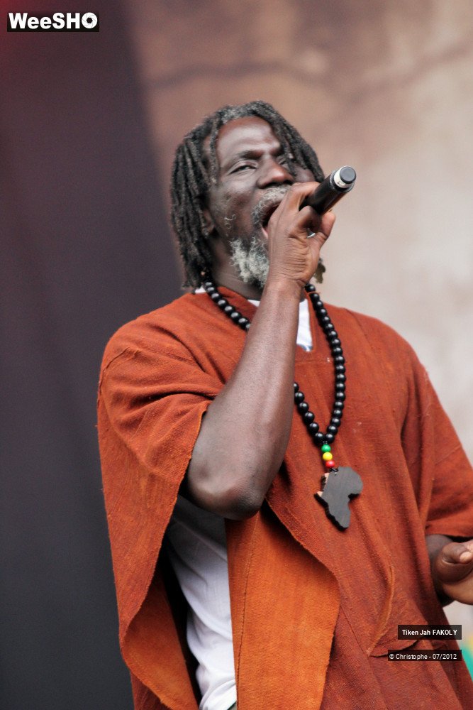 20/42 photos du spectacle Tiken Jah Fakoly
