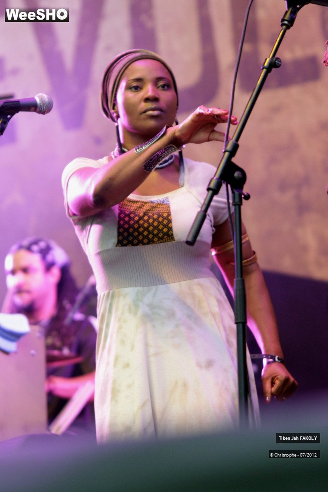 22/42 photos du spectacle Tiken Jah Fakoly