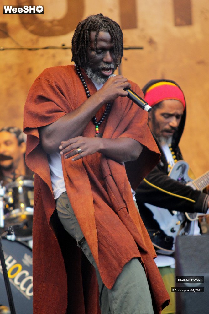 23/42 photos du spectacle Tiken Jah Fakoly