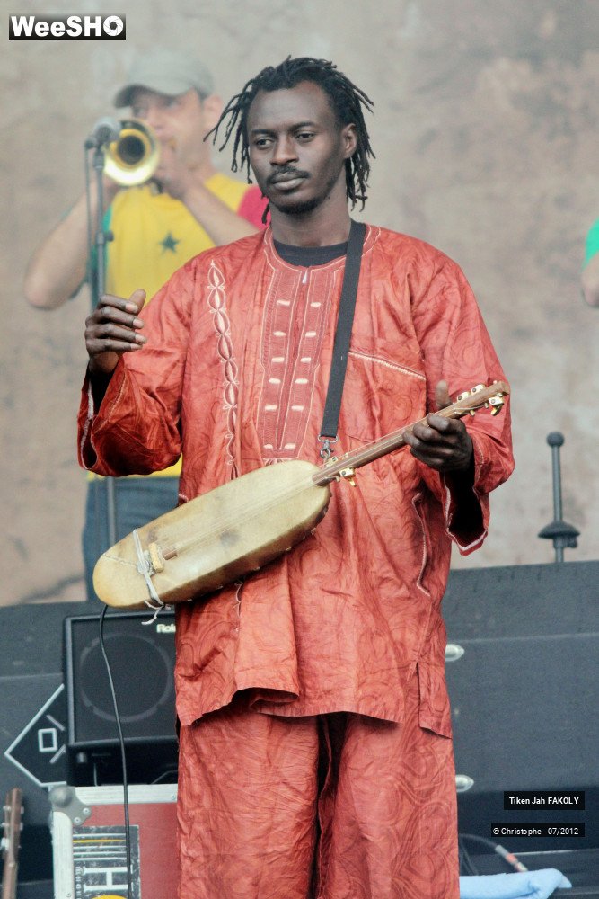 25/42 photos du spectacle Tiken Jah Fakoly