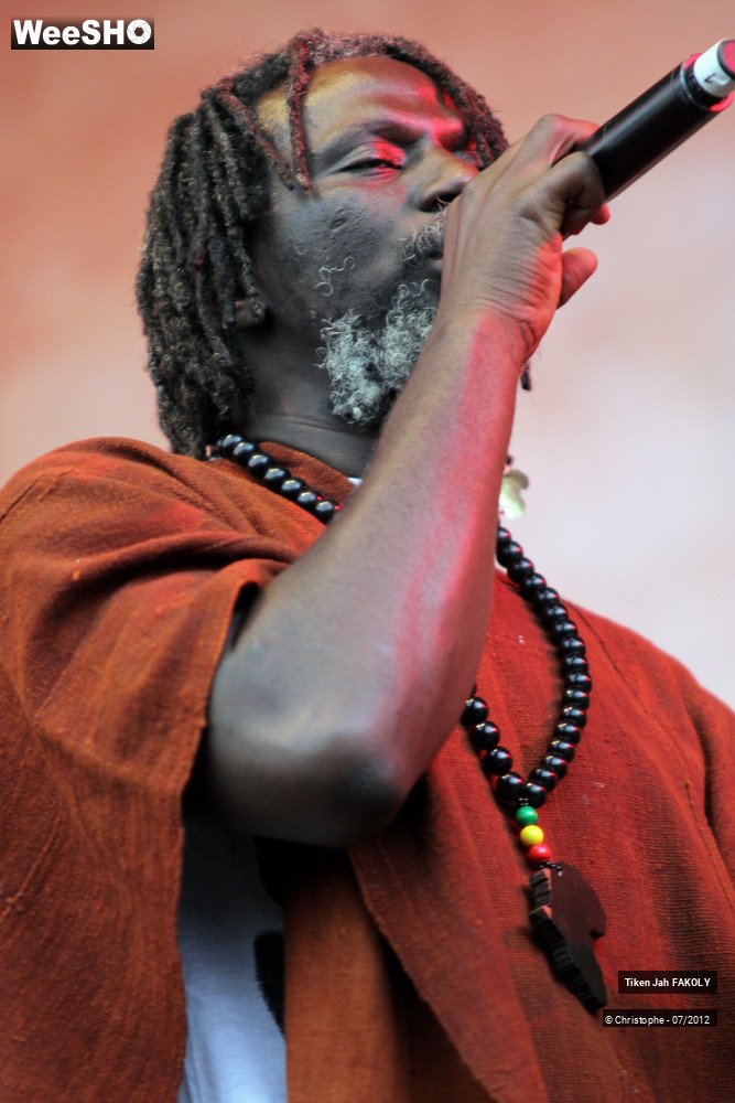 26/42 photos du spectacle Tiken Jah Fakoly