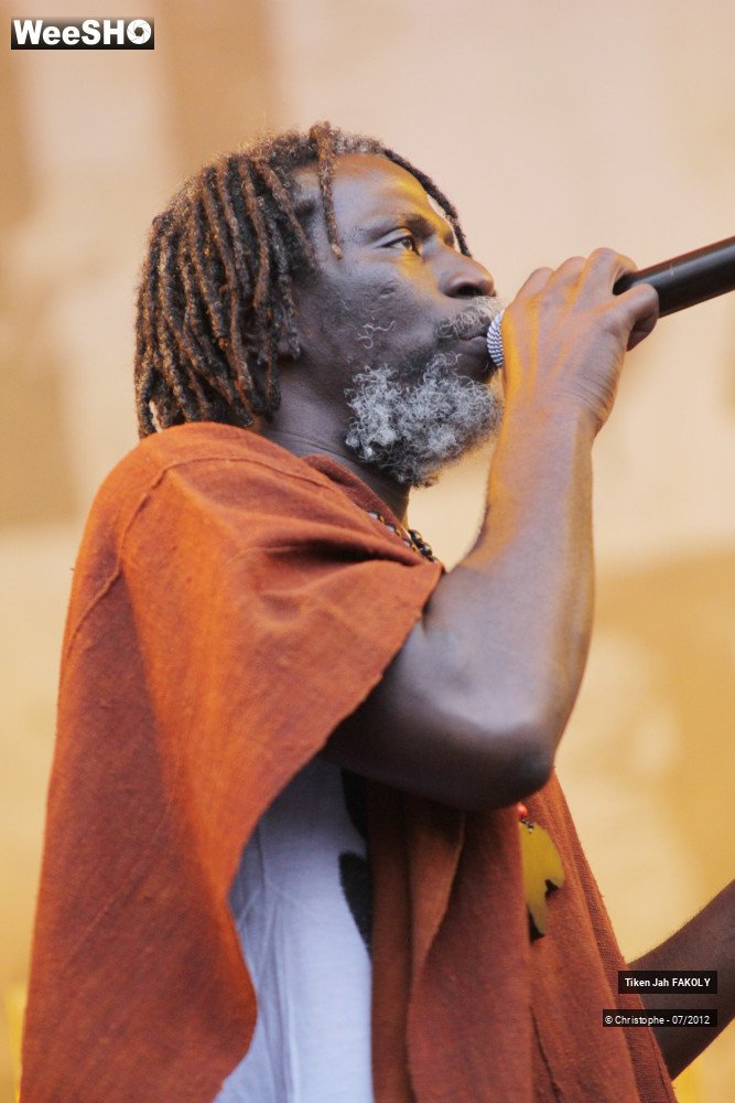 27/42 photos du spectacle Tiken Jah Fakoly