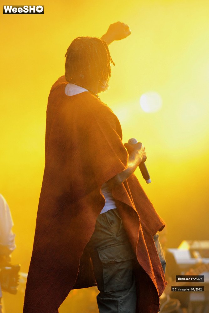 29/42 photos du spectacle Tiken Jah Fakoly