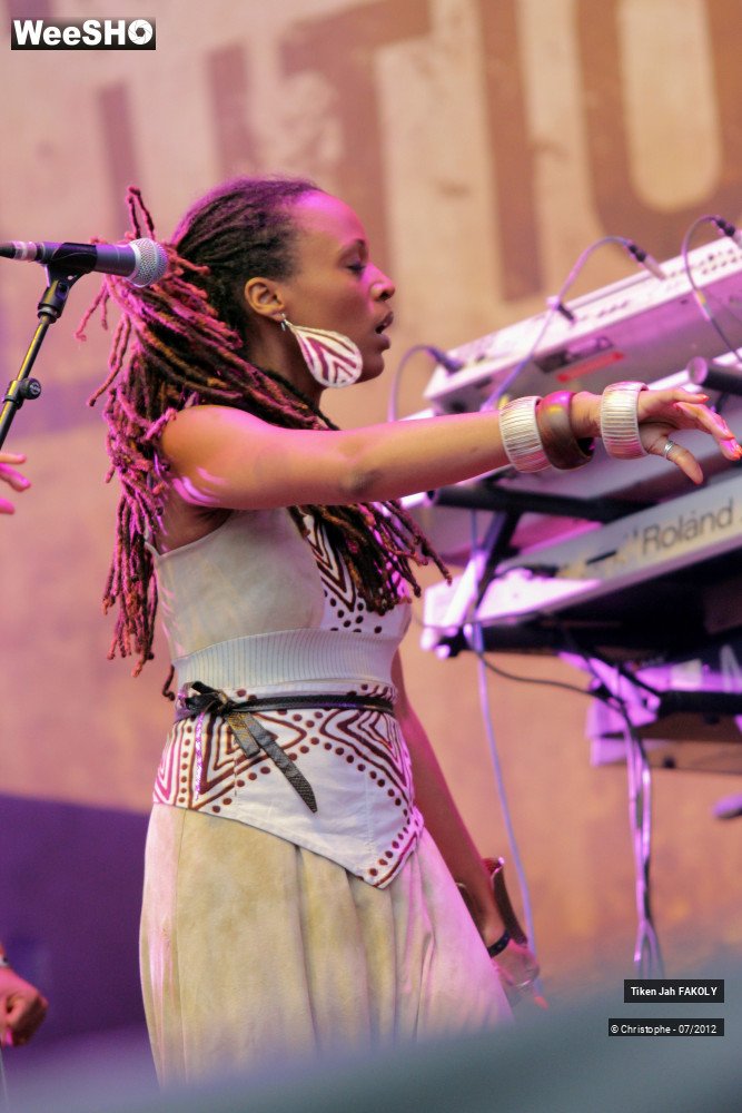 30/42 photos du spectacle Tiken Jah Fakoly