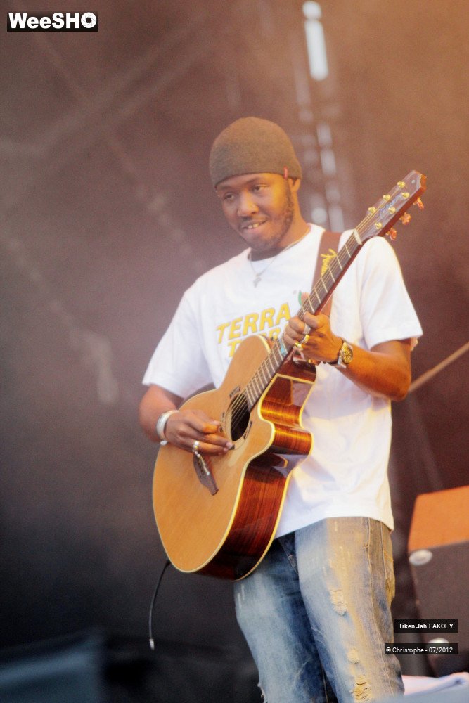31/42 photos du spectacle Tiken Jah Fakoly