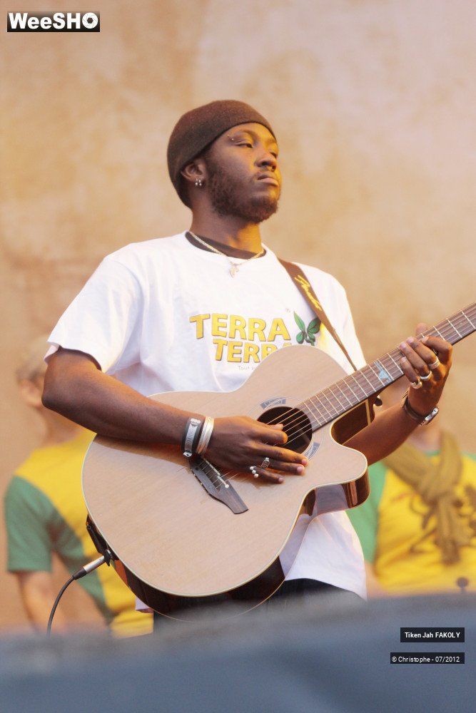 33/42 photos du spectacle Tiken Jah Fakoly