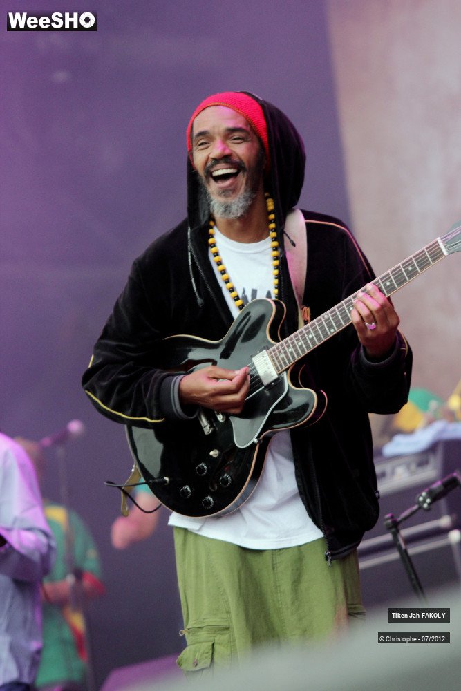 34/42 photos du spectacle Tiken Jah Fakoly