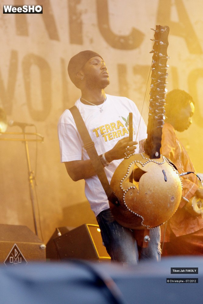 35/42 photos du spectacle Tiken Jah Fakoly
