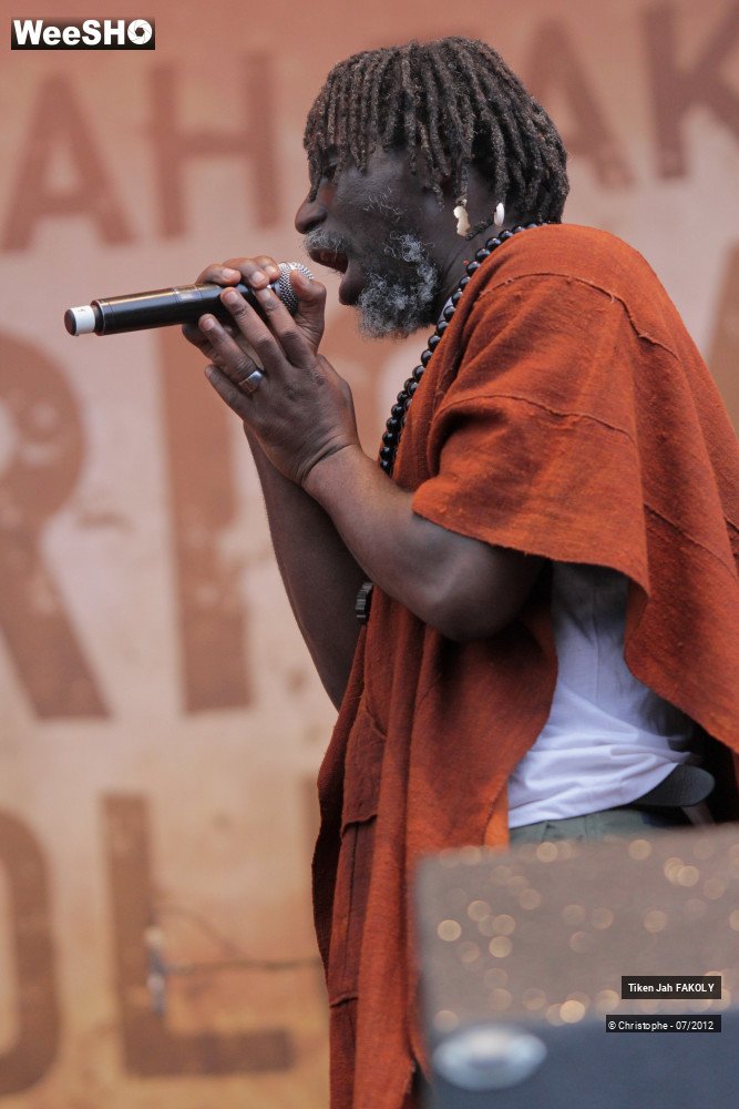 36/42 photos du spectacle Tiken Jah Fakoly