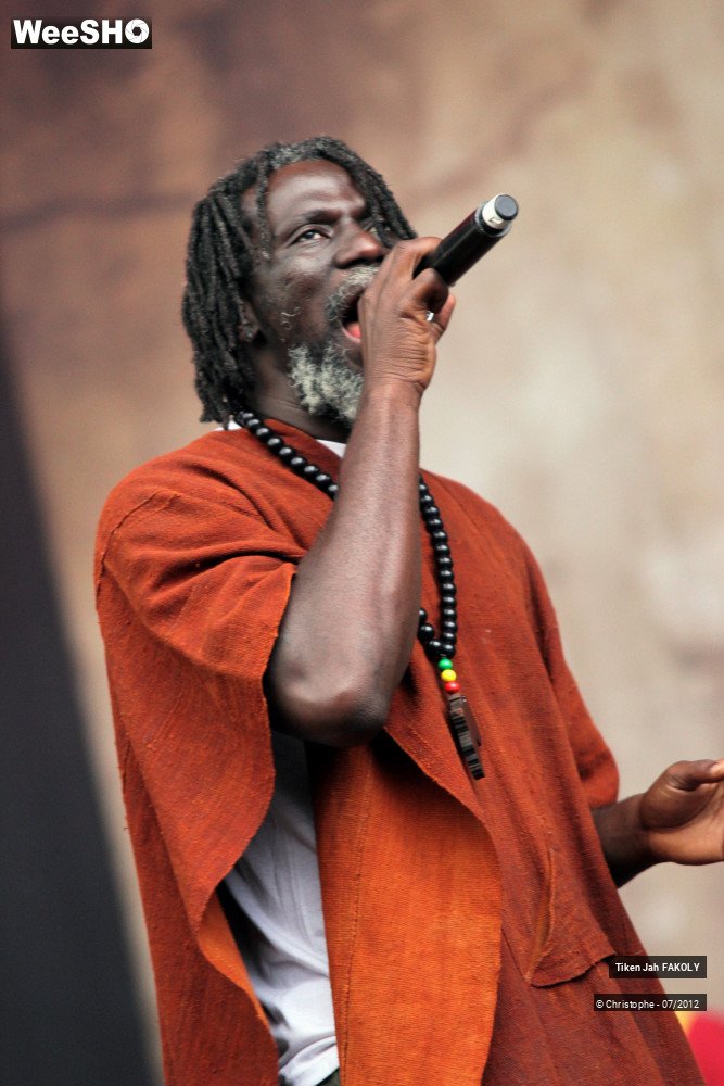 37/42 photos du spectacle Tiken Jah Fakoly