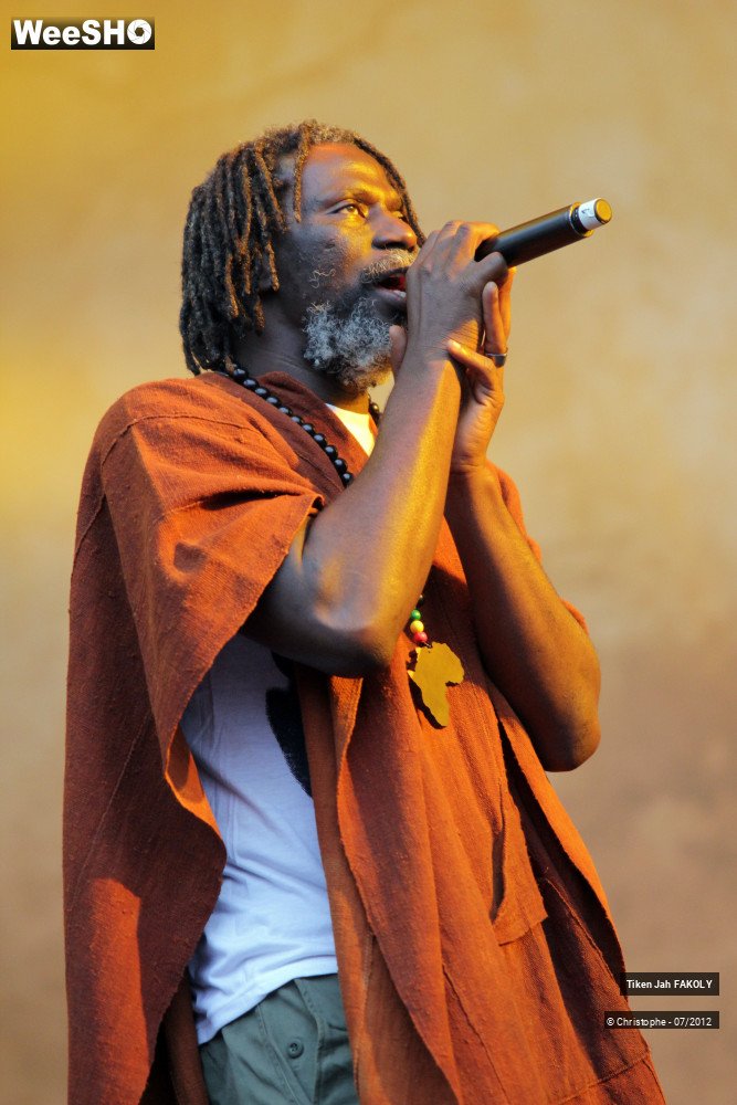 38/42 photos du spectacle Tiken Jah Fakoly