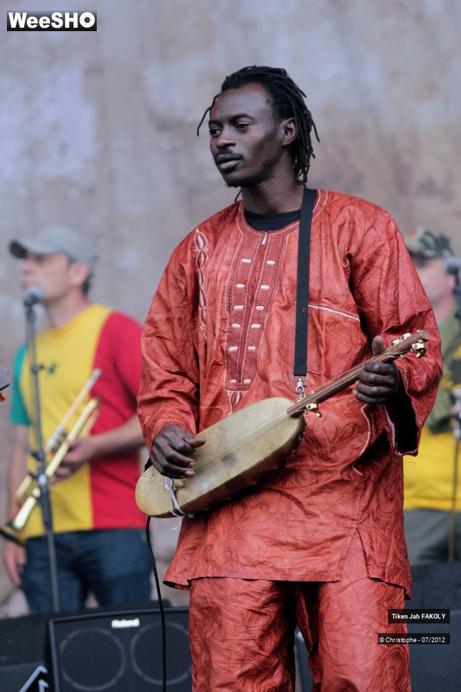 39/42 photos du spectacle Tiken Jah Fakoly