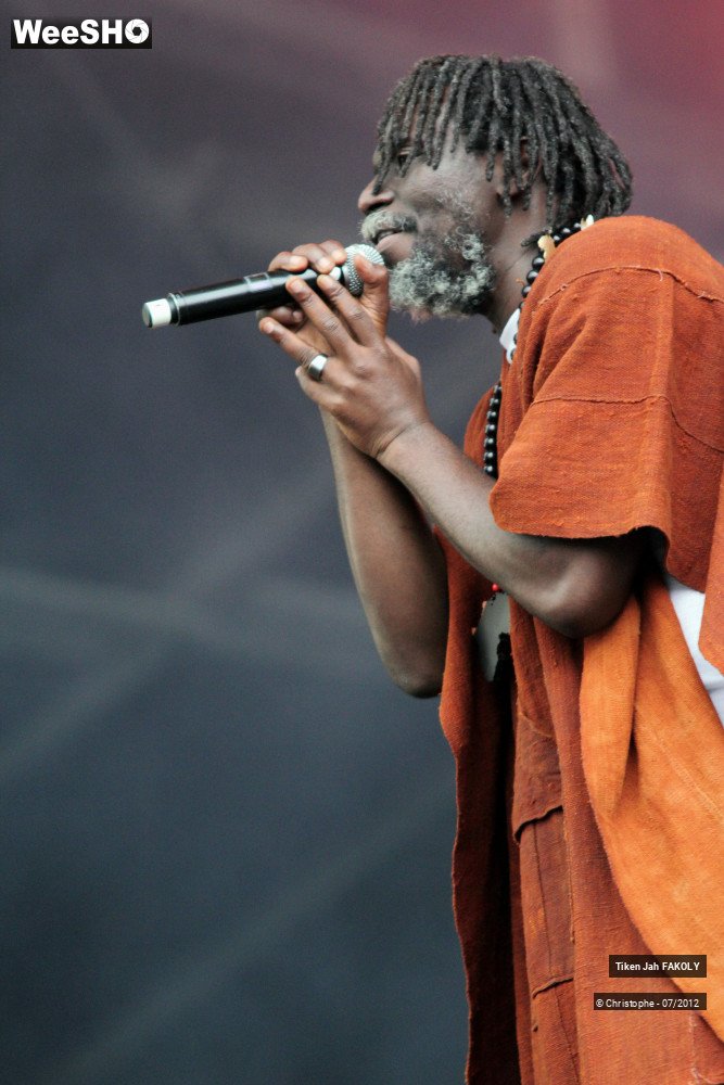 41/42 photos du spectacle Tiken Jah Fakoly
