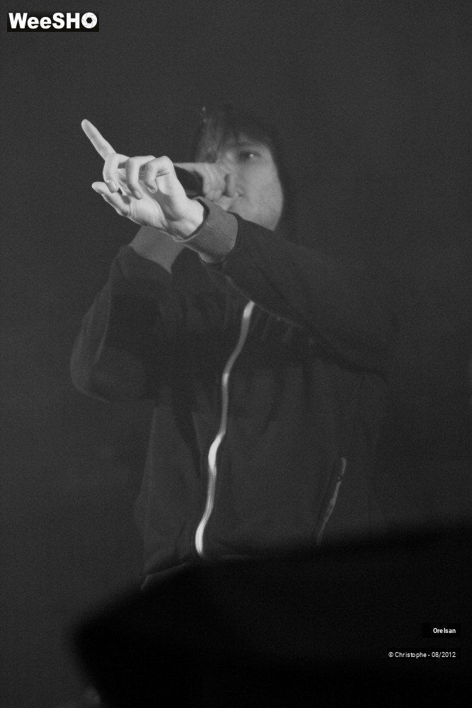 22/30 photos du spectacle Orelsan