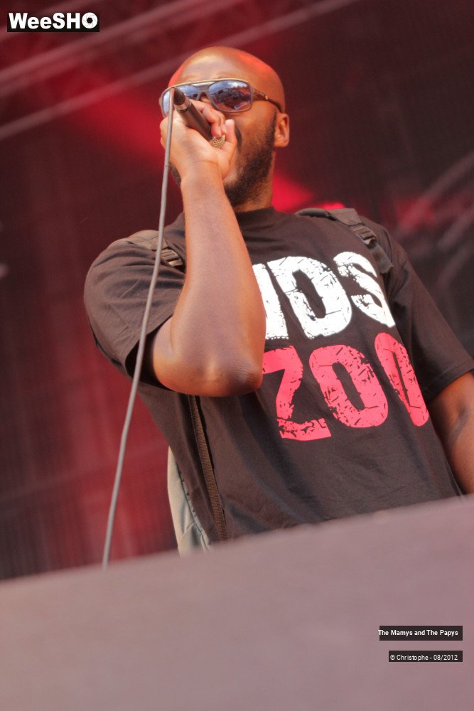 14/26 photos du spectacle The Mamys and the Papys