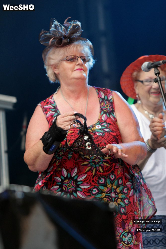 24/26 photos du spectacle The Mamys and the Papys