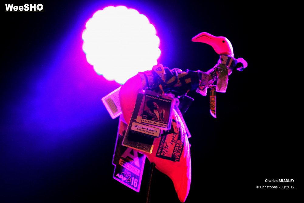 1/30 photos du spectacle Charles Bradley