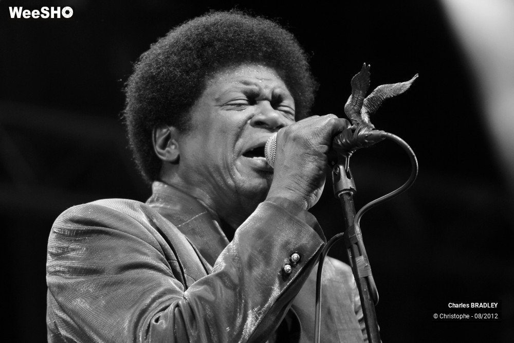 2/30 photos du spectacle Charles Bradley