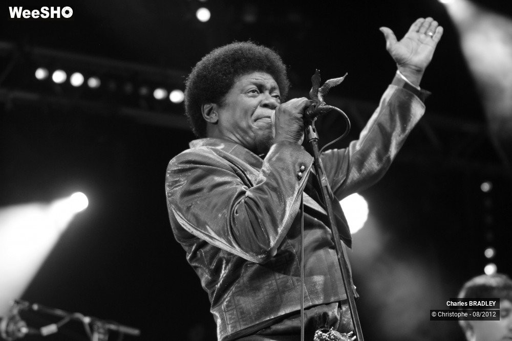 3/30 photos du spectacle Charles Bradley