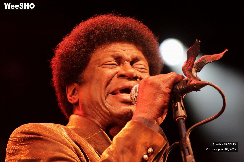 8/30 photos du spectacle Charles Bradley